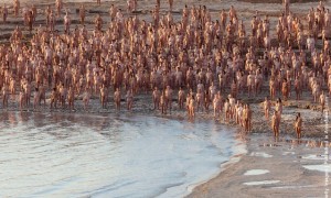 tunick002