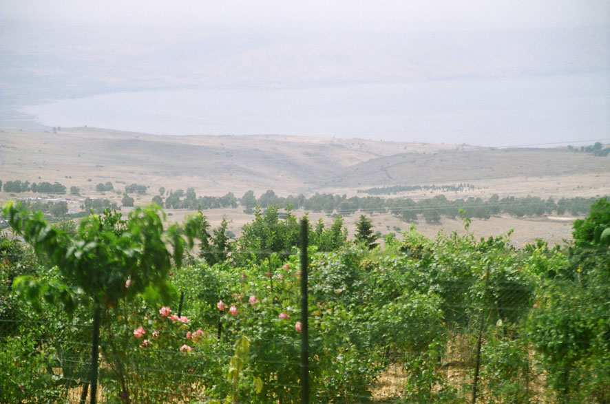 Kinneret.jpg