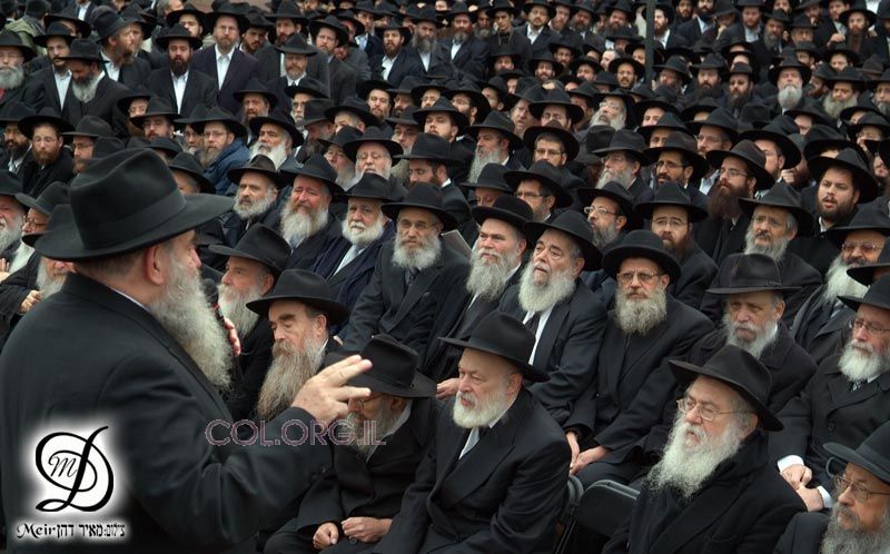 shlichim2.jpg shlichim2.jpg