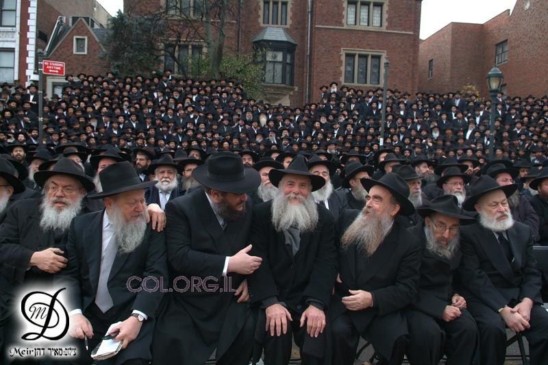 shlichim3.jpg shlichim3.jpg