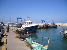 Jaffa