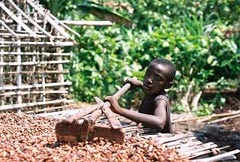 slavery's bitter slavery's bitter
