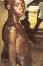 slavery's bitter chocolate slavery's bitter chocolate