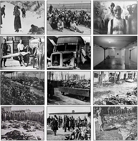 homosexuals in holocaust. The Holocaust