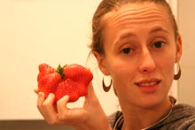 gigantic strawberries of Jerusalem gigantic strawberries of Jerusalem