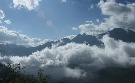 sapa2
