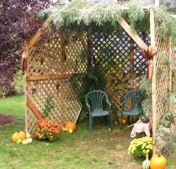 Sukkah_1.jpg
