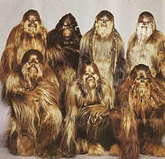 group picture of my last seven jdates